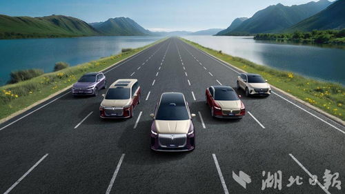 東風(fēng)公司在歐洲市場(chǎng)前9個(gè)月銷售業(yè)績(jī)亮眼，新能源車占比超半